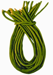 File:BeanLong.jpg