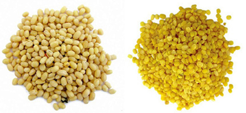 File:Pulse02.jpg