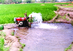 File:Farming03.jpg