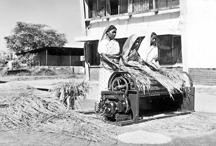 File:AgricultureThreshing1.jpg