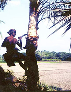 File:Gachhi.jpg