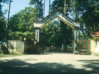 File:MadhupurNationalPark.jpg