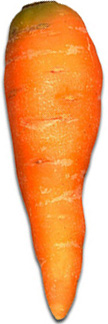 File:Carrot.jpg