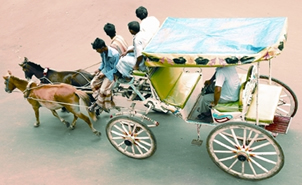 File:HorseCartPresent.jpg