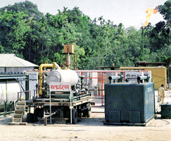 File:MineralResourcesGasfield.jpg