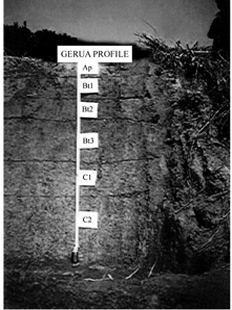 File:SoilProfile.jpg