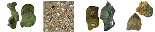 File:Rocks&Minerals1.jpg