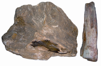 File:RocksAndMinerals6.jpg