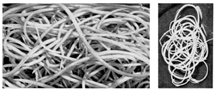 File:NematodeHuman.jpg