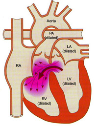 File:Health&HealthSciences.jpg
