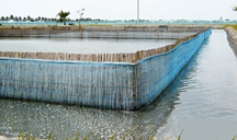File:CrabCulture.jpg