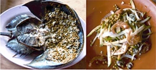 File:KingCrab2.jpg