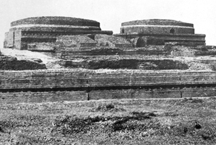File:KutilaMuraComllia.jpg