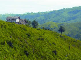 File:HillForst.jpg