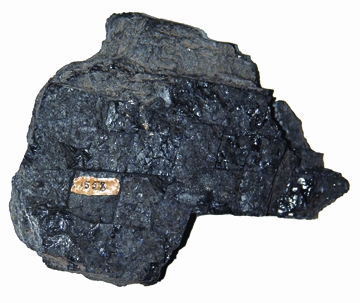 File:RocksAndMinerals13.jpg