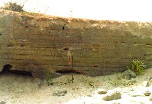 File:CoquinaHorizon.jpg