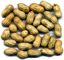 File:Groundnut.jpg