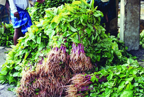 File:Amaranth.jpg