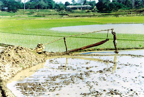 File:IrrigationDoon.jpg