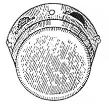 File:Khanjari.jpg
