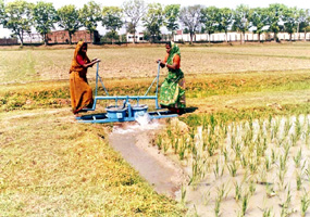 File:IrrigationDiaphragmPump.jpg