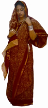 File:Sari4.jpg