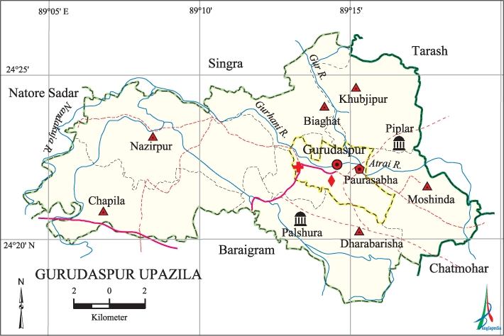 File:GurudaspurUpazila.jpg