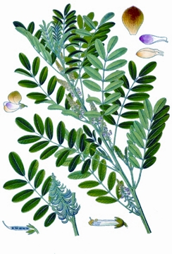 File:IndigoInside.jpg