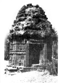File:Architecture32.jpg