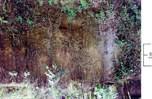 File:Fault3.jpg