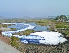 File:EnvironmentPollution2.jpg