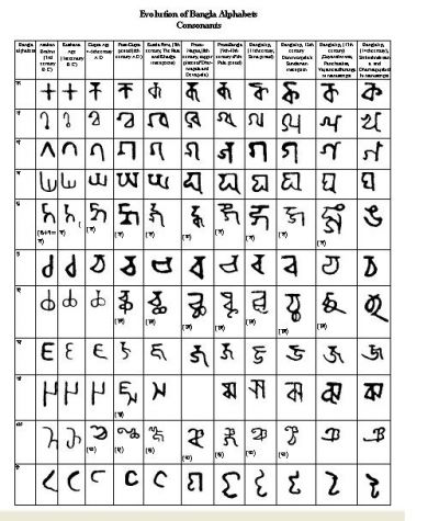 BanglaScript Consonants1.jpg